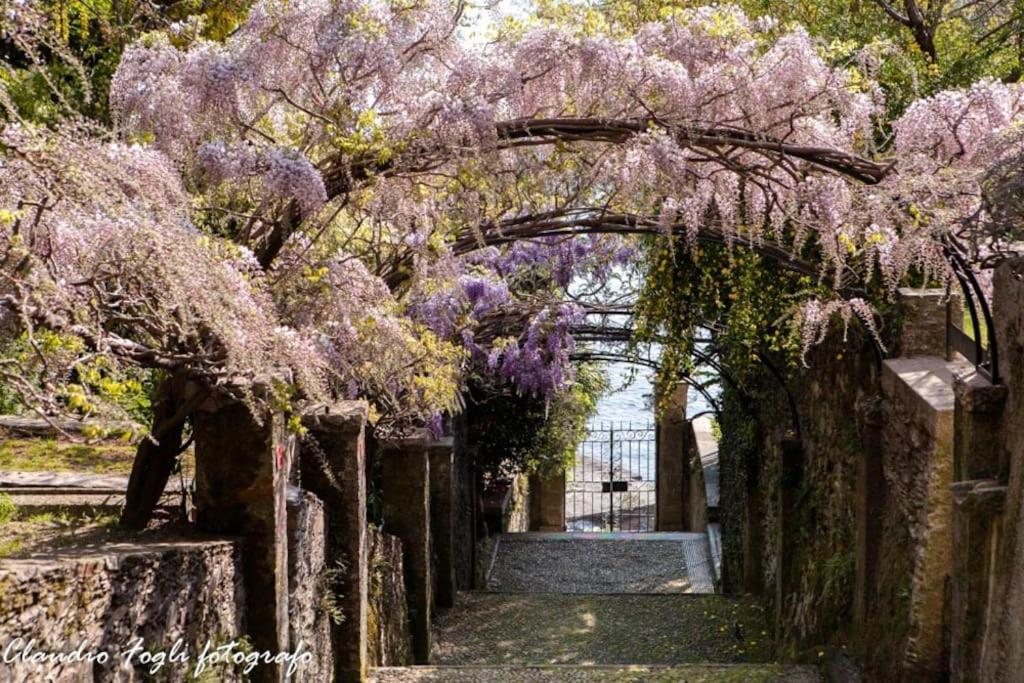 Nido Dei Gelsi Vicino Al Lago Free Parking Intra Bagian luar foto
